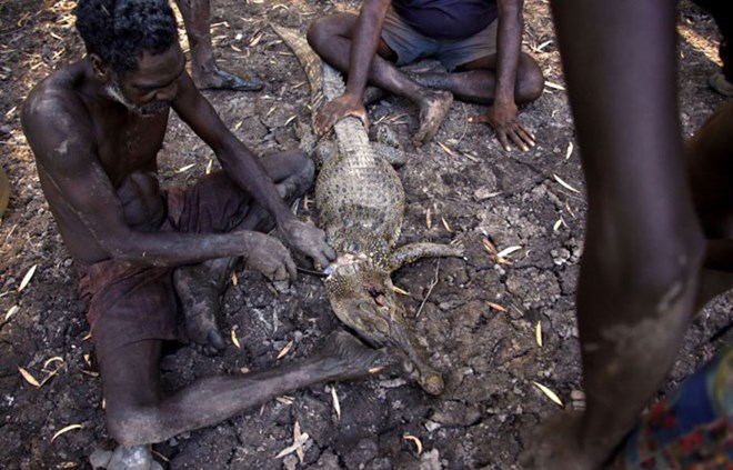 Picture 9 of The tribe of 60,000 years hunted crocodiles in the deep forest