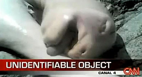 Picture 1 of The truth about 'aliens' in Panama