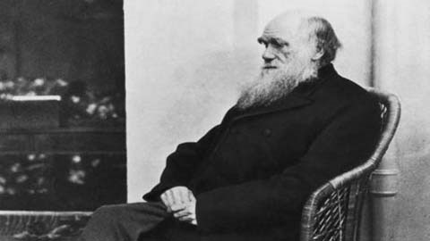 Picture 1 of The truth about Darwin's death