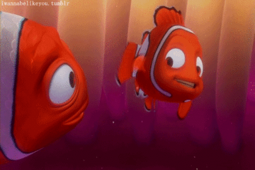 Picture 4 of The truth about 'Finding Nemo': Marlin's paw will be transgender soon after the mother's fish dies