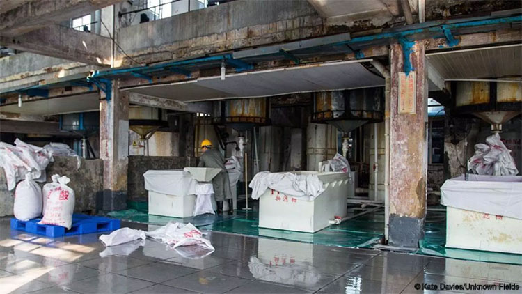 Picture 5 of The truth about metal helps China grow fast but also gradually destroys this country