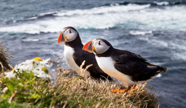 Picture 4 of The truth about mysterious rumors revolves around the world's most solitary home in Iceland