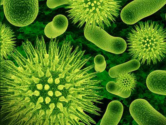 Picture 1 of The truth about 'sex virus' is more dangerous than AIDS