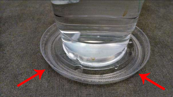 Picture 2 of The truth about the design of a coffee cup