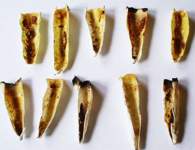Picture 10 of The truth about the earwax method is said to be