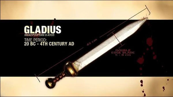 Picture 6 of The truth about the 'standard body' of the ancient gladiator