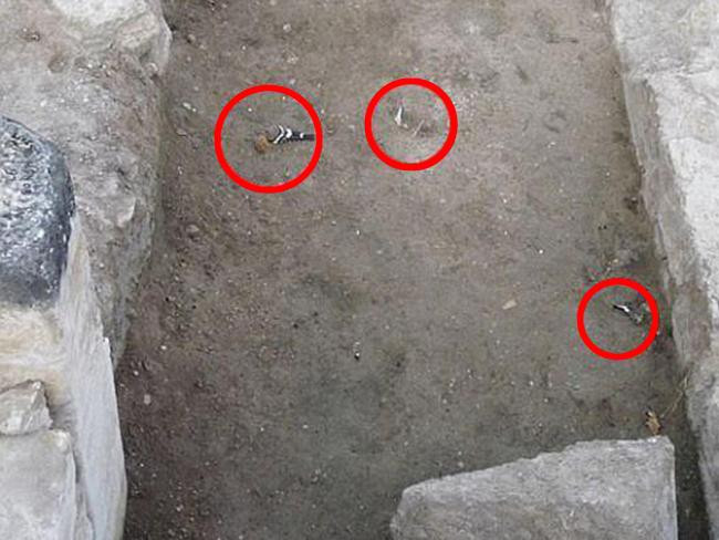 Picture 1 of The truth about the temple of death, killing any living creature is near