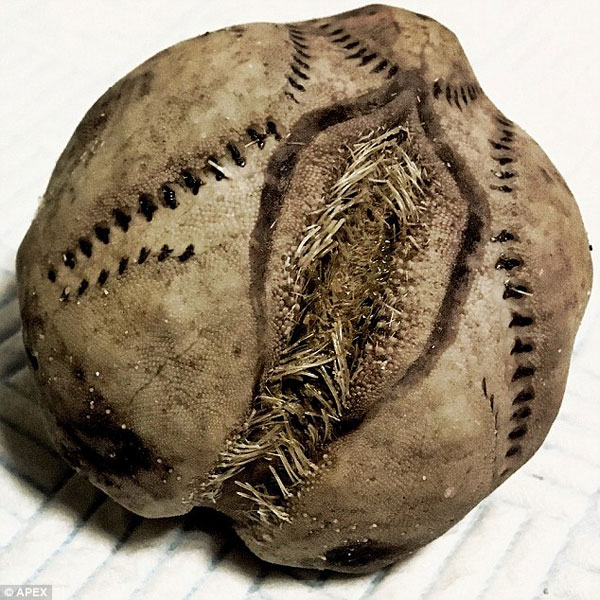 Picture 2 of The truth behind a strange object like a giant baseball appeared on the coast