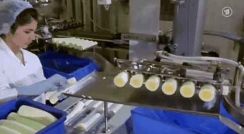 The truth behind the famous 30cm long chicken eggs in Denmark images 10