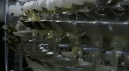 The truth behind the famous 30cm long chicken eggs in Denmark images 5