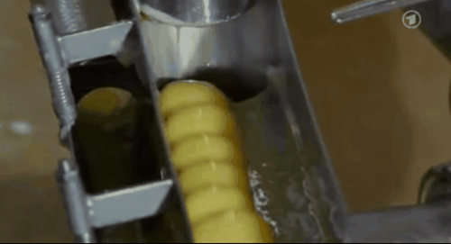 The truth behind the famous 30cm long chicken eggs in Denmark images 6