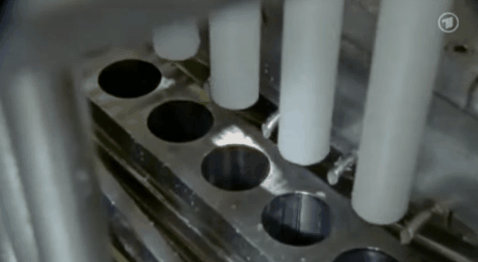 The truth behind the famous 30cm long chicken eggs in Denmark images 8
