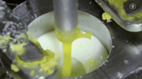 The truth behind the famous 30cm long chicken eggs in Denmark images 9