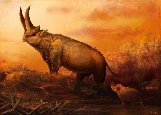 Picture 8 of The truth is that the ancestors of ancient elephants and rhinos appear to be more 'monstrous' than they are today!