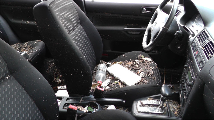 Picture 5 of The truth is that your car will face when it is submerged for too long