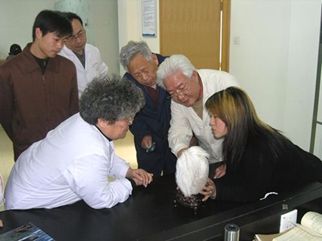 Picture 3 of The truth was startling behind the bizarre 'stone of white hair'