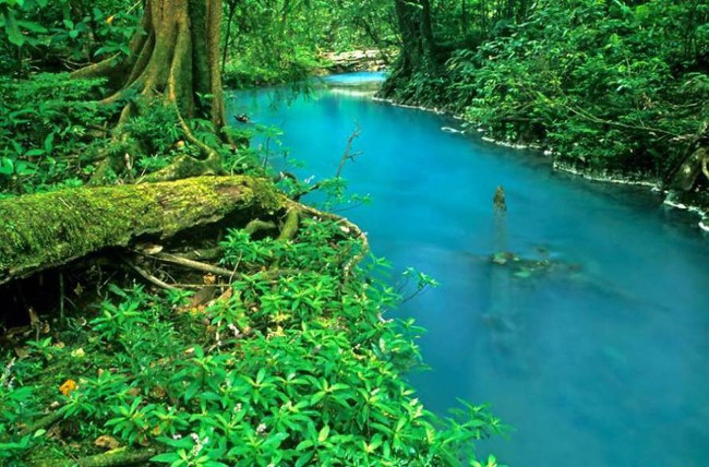 Picture 1 of The turquoise river fooled scientists