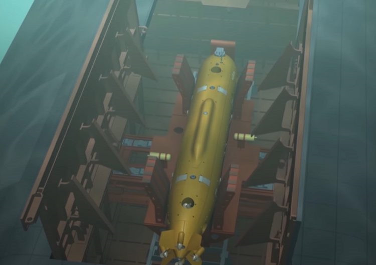 Picture 10 of The ultimate weapons help Russia erase the Soviet shadow