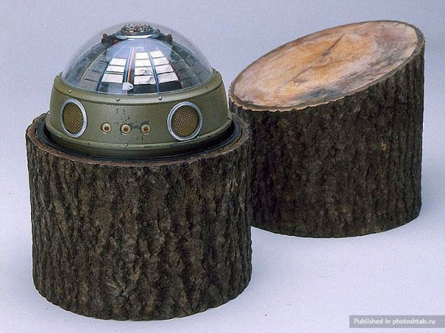 Picture 8 of The ultra-powerful weapons are 'covered' by the beautiful shell