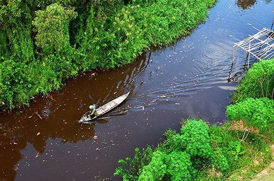 Picture 1 of The UN published a map of Latin American and Caribbean ecosystems
