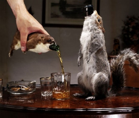 Picture 4 of The unexplored truth about beer