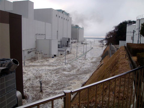 Picture 9 of The unforgettable images in the Japanese disaster