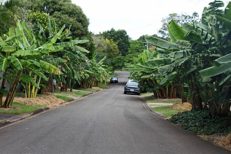 Picture 14 of The unique path in Australia just needs to