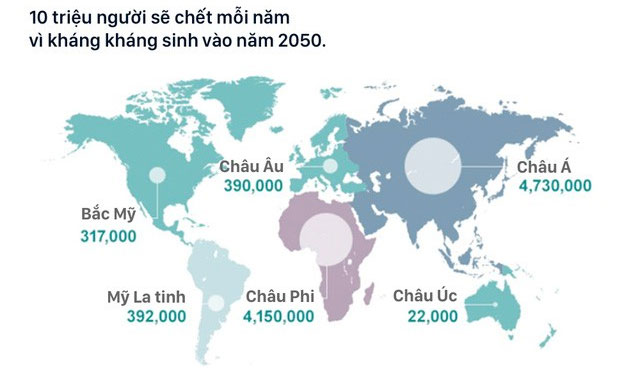 Picture 2 of The United Nations' all-human warning: All antibiotics are becoming useless