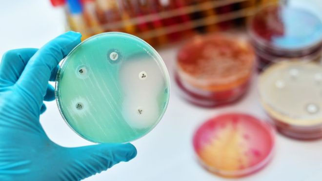 Picture 5 of The United Nations' all-human warning: All antibiotics are becoming useless