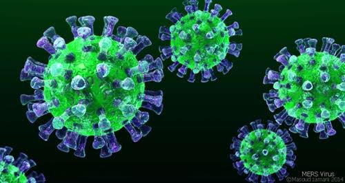 Picture 1 of The United States found antibodies against MERS virus