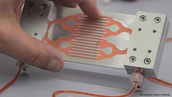 Picture 3 of The United States invented the device capable of