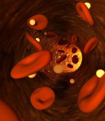 Picture 3 of The unknown effects of nanotechnology