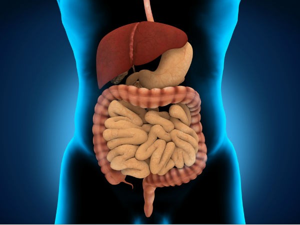 Picture 1 of The unpredictable effects of muscle strengthening drugs