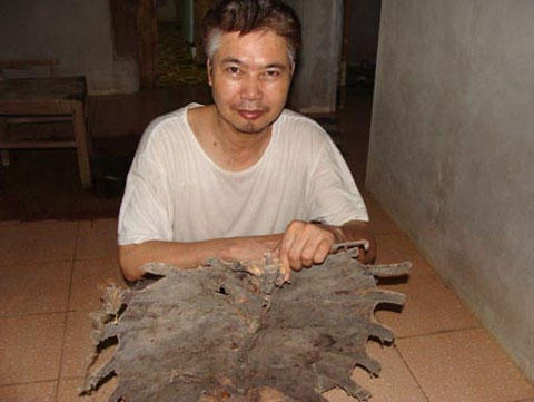 Picture 1 of The untold story about the turtle skeleton in Yen Bai and Hoa Binh