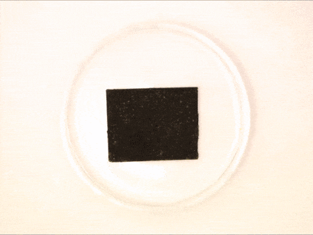 Picture 1 of The US is studying new plastic materials that can be recycled many times