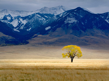 Picture 5 of The vibrant colors of nature