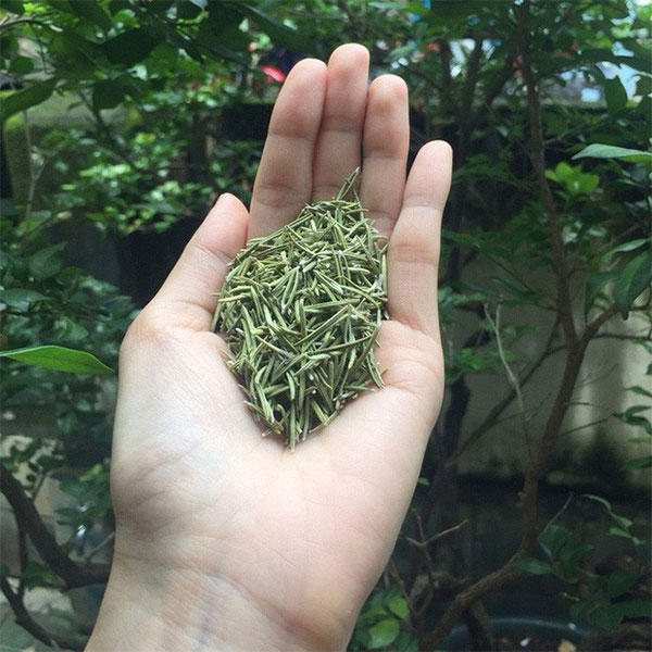 Picture 2 of The village has 300 people living 100 years by eating this spice leaf!