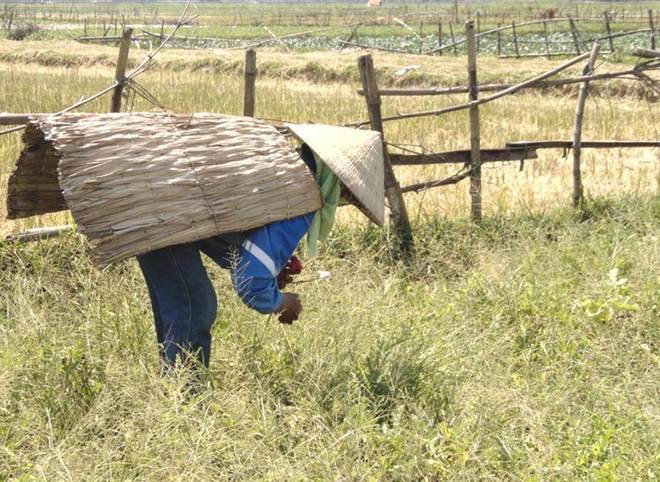 Picture 1 of The village makes a shirt to turn on the hot season