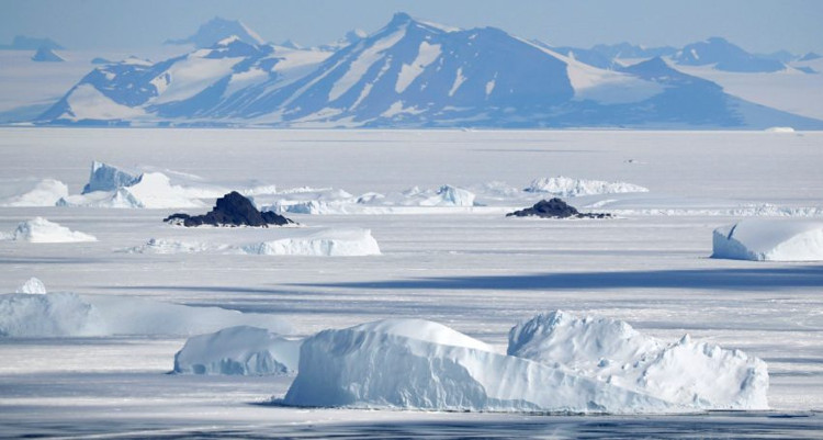 Picture 1 of The warming Earth makes Antarctica more and more green