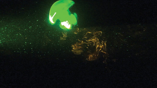 Picture 2 of The water in the ocean is mixed by jellyfish