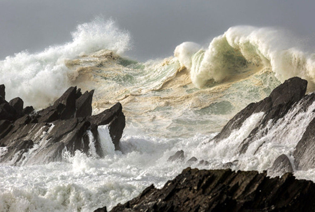 Picture 17 of The whisper of nature