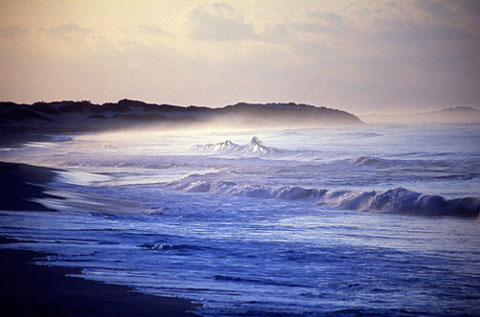 Picture 1 of The wild beauty of Socotra Island