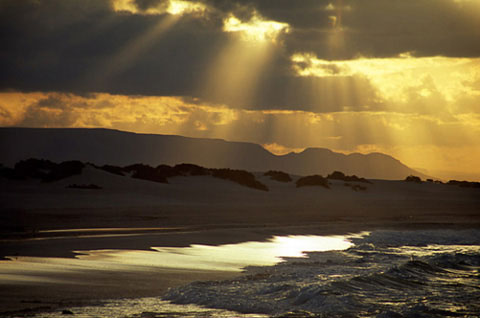 Picture 2 of The wild beauty of Socotra Island