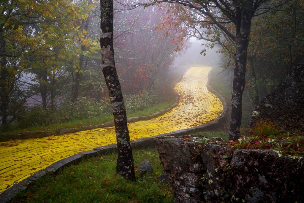 Picture 7 of The wildly abandoned parks in the world