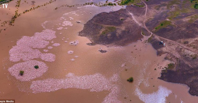 Picture 10 of The wonders of the beautiful world when viewed from above