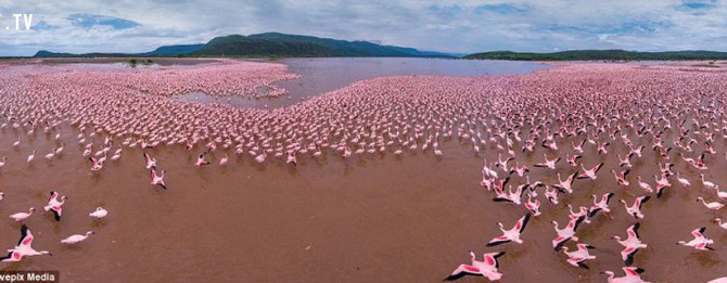 Picture 9 of The wonders of the beautiful world when viewed from above
