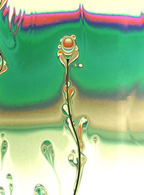 Picture 1 of The world exaggerates through a microscope