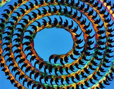 Picture 9 of The world exaggerates through a microscope