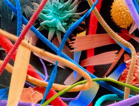Picture 7 of The world goes through an electron microscope
