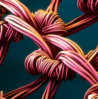 Picture 8 of The world goes through an electron microscope